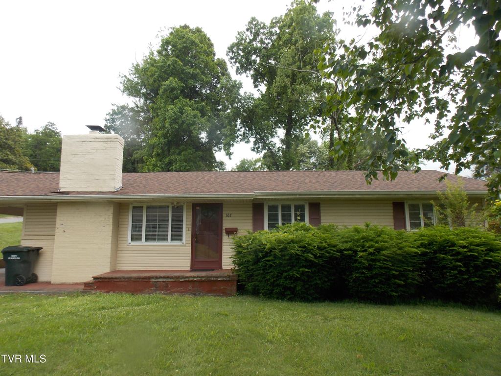 Photo of 167 Cherry Lane, Bristol, VA 24201 (MLS # 9980766)