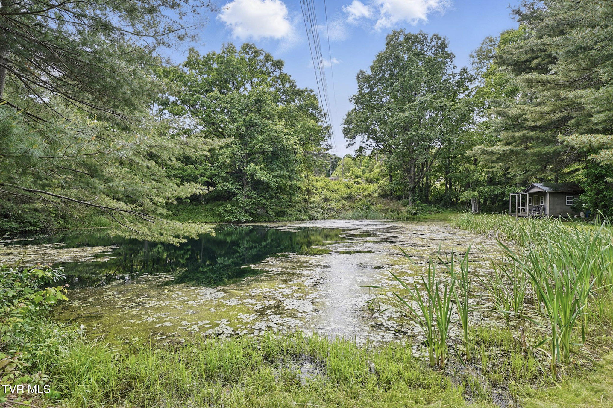 8466 Courtland Road, Wise, Virginia image 40