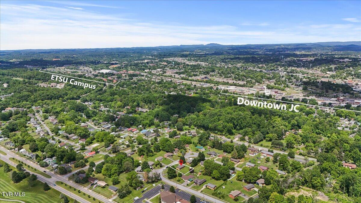 313 Peach Blossom Court, Johnson City, Tennessee image 3