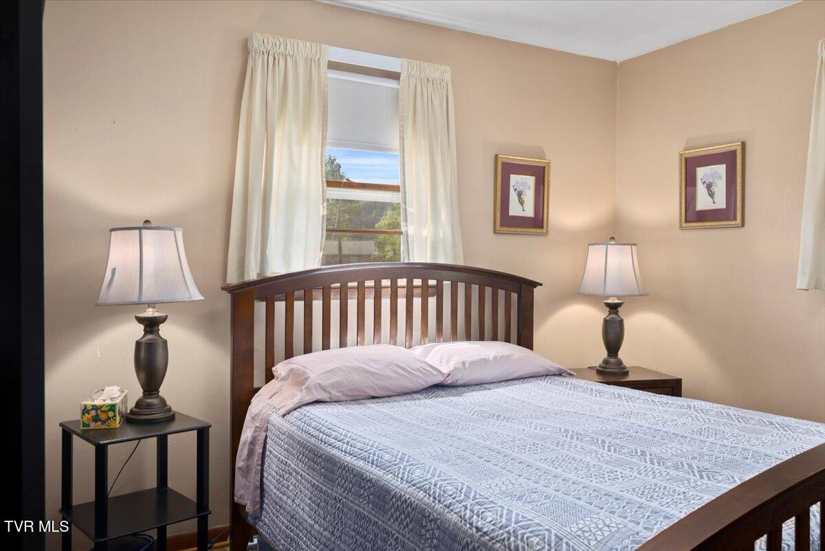 313 Peach Blossom Court, Johnson City, Tennessee image 24