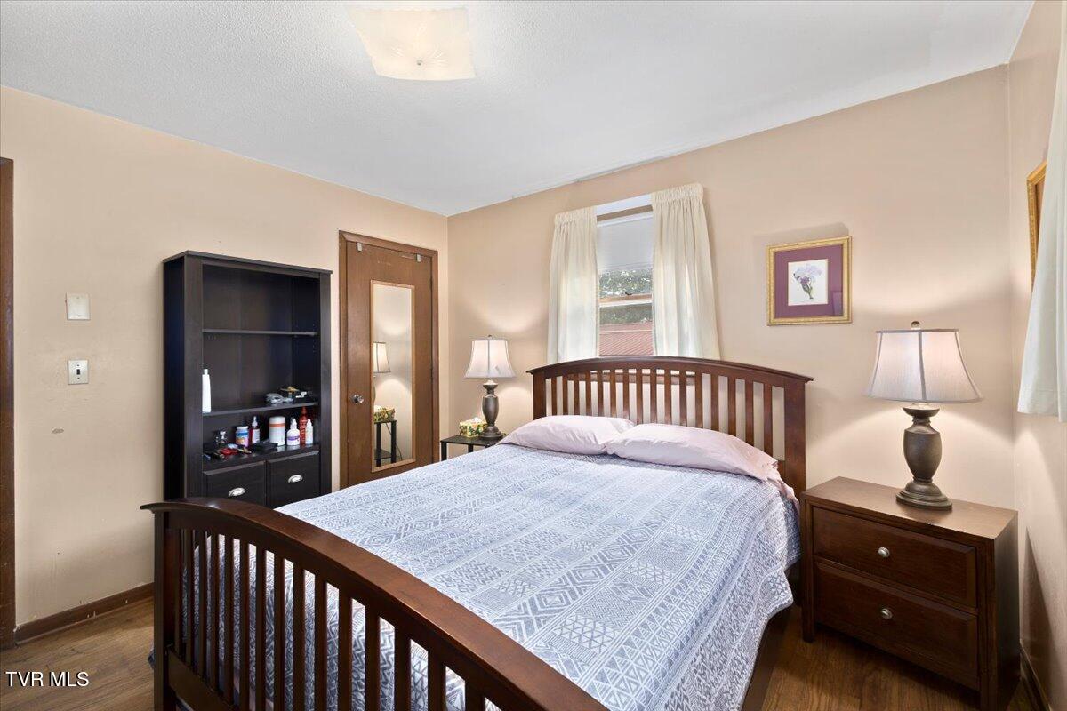 313 Peach Blossom Court, Johnson City, Tennessee image 25