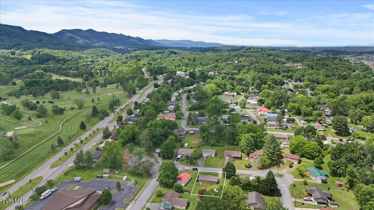 313 Peach Blossom Court, Johnson City, Tennessee image 38