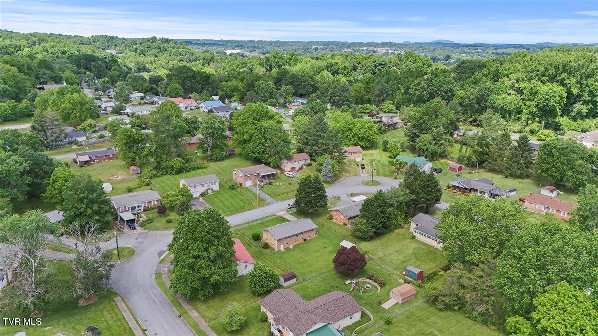 313 Peach Blossom Court, Johnson City, Tennessee image 4