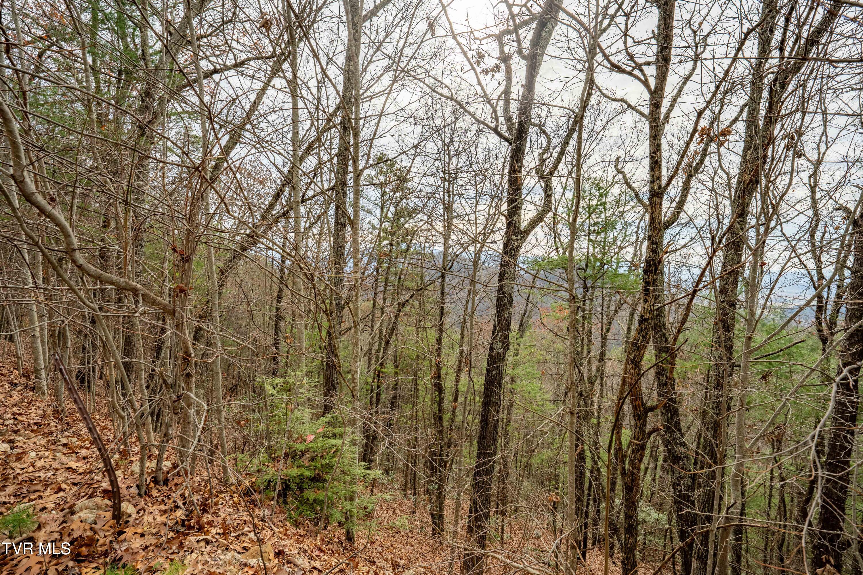 Tbd Callalantee Drive, Mountain City, Tennessee image 16