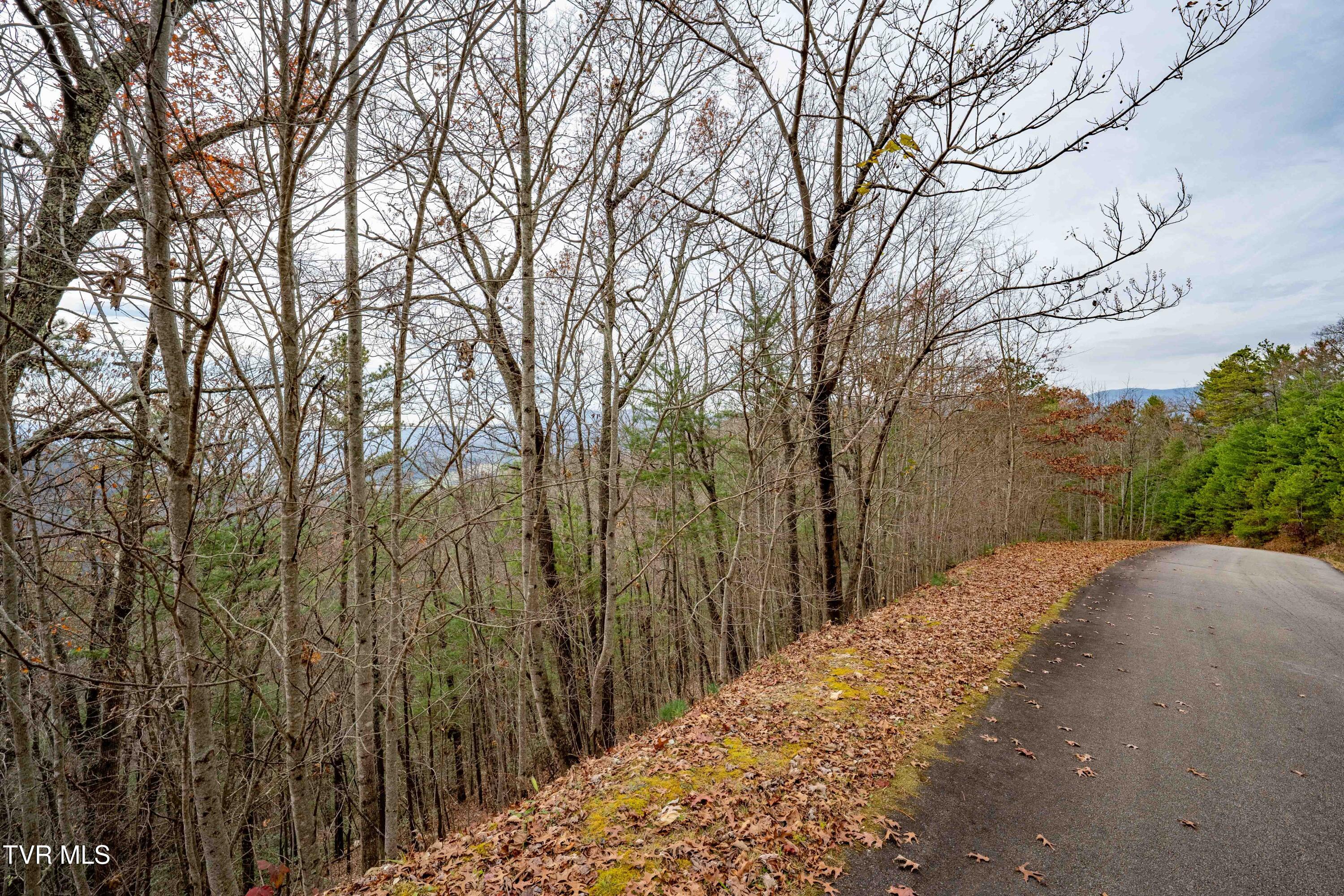 Tbd Callalantee Drive, Mountain City, Tennessee image 14