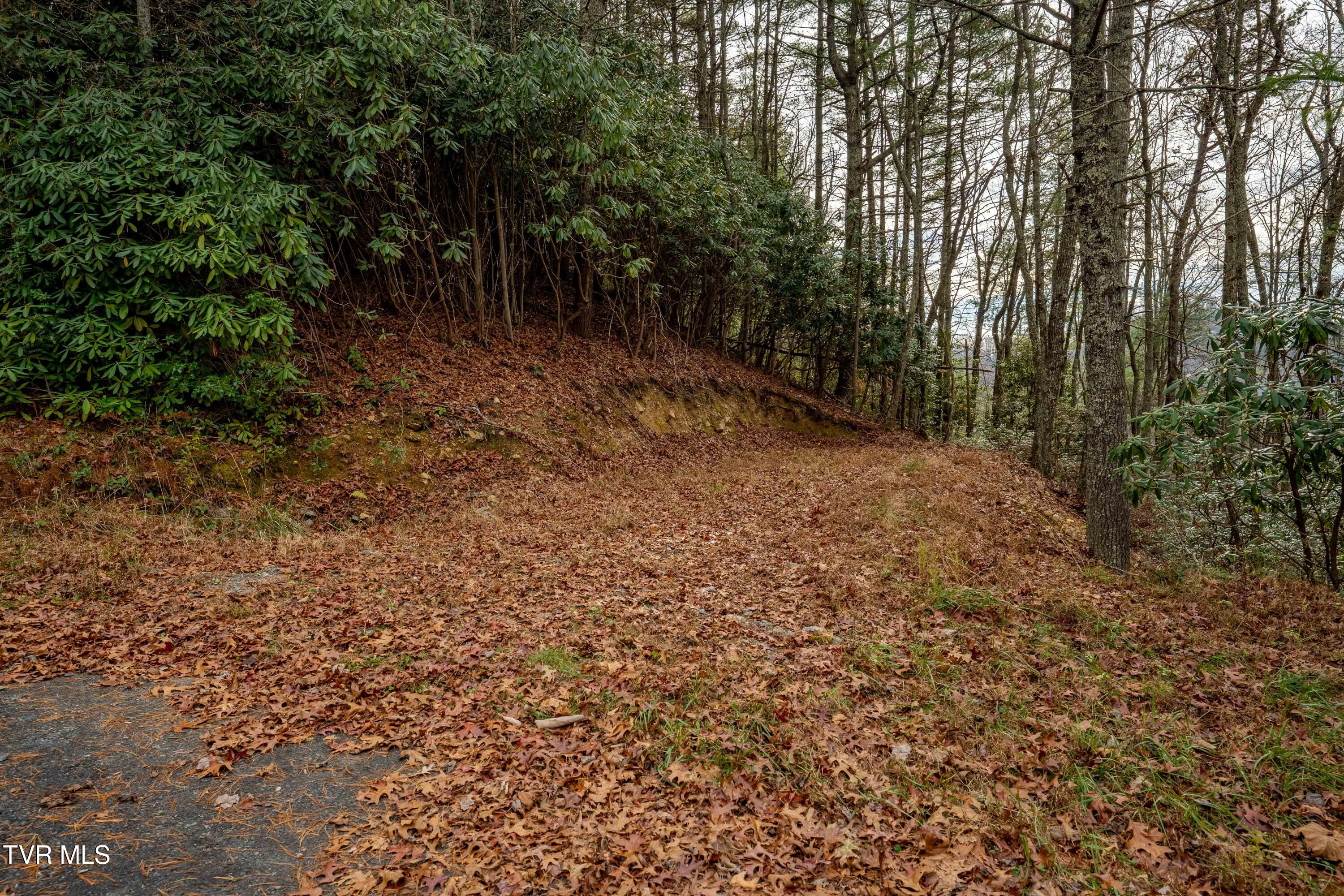 Tbd Callalantee Drive, Mountain City, Tennessee image 18