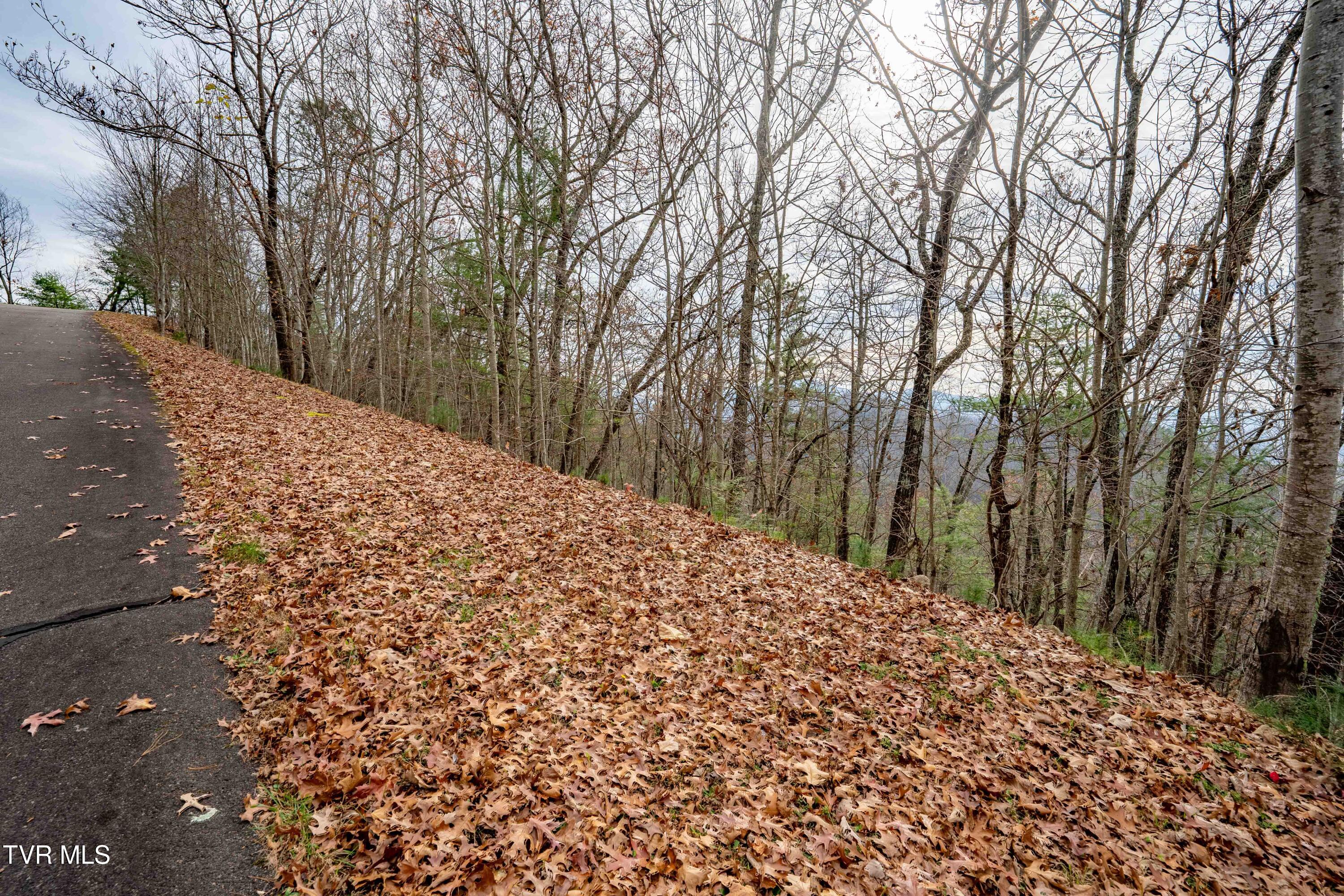 Tbd Callalantee Drive, Mountain City, Tennessee image 15