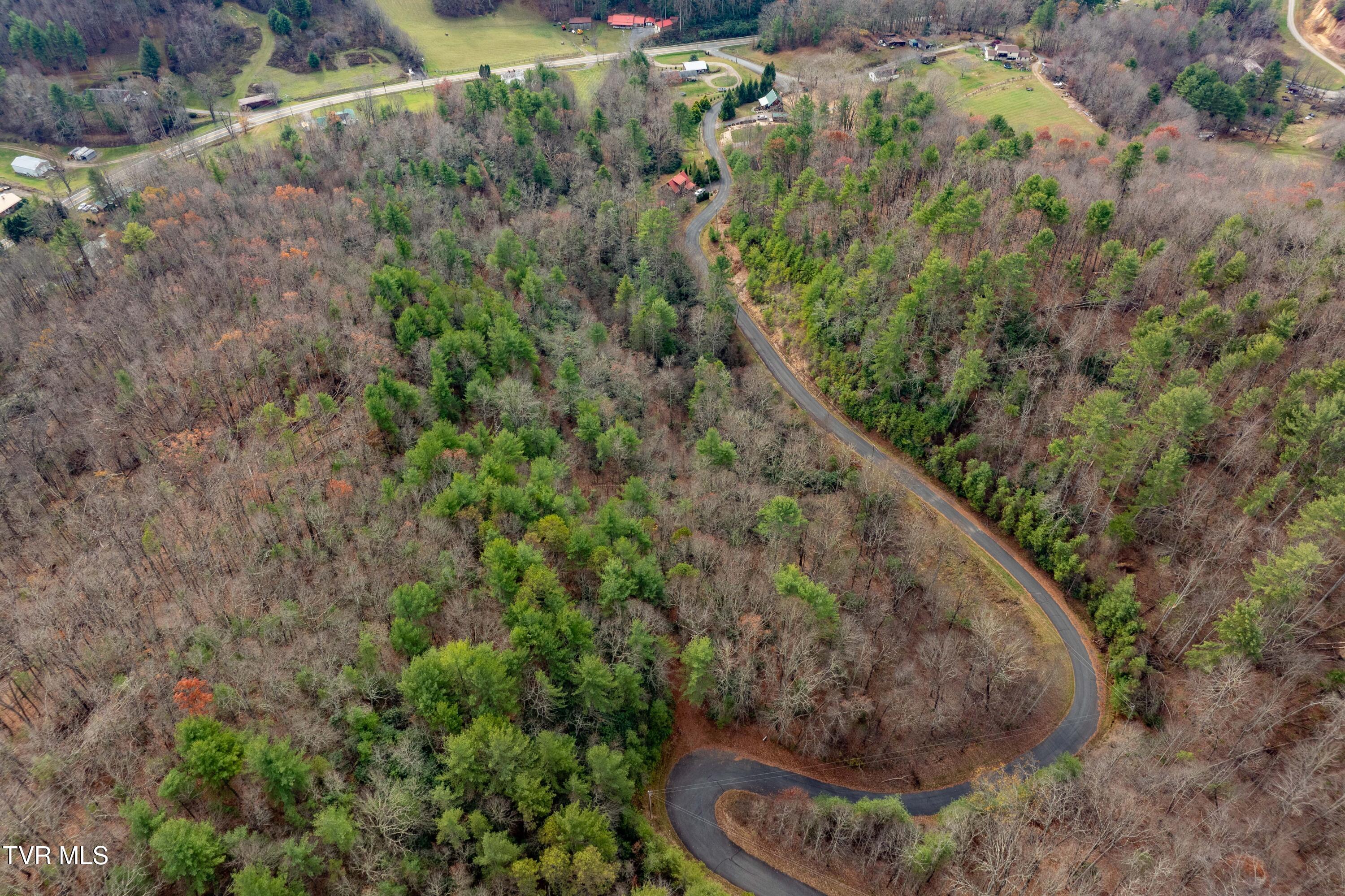 Tbd Callalantee Drive, Mountain City, Tennessee image 10