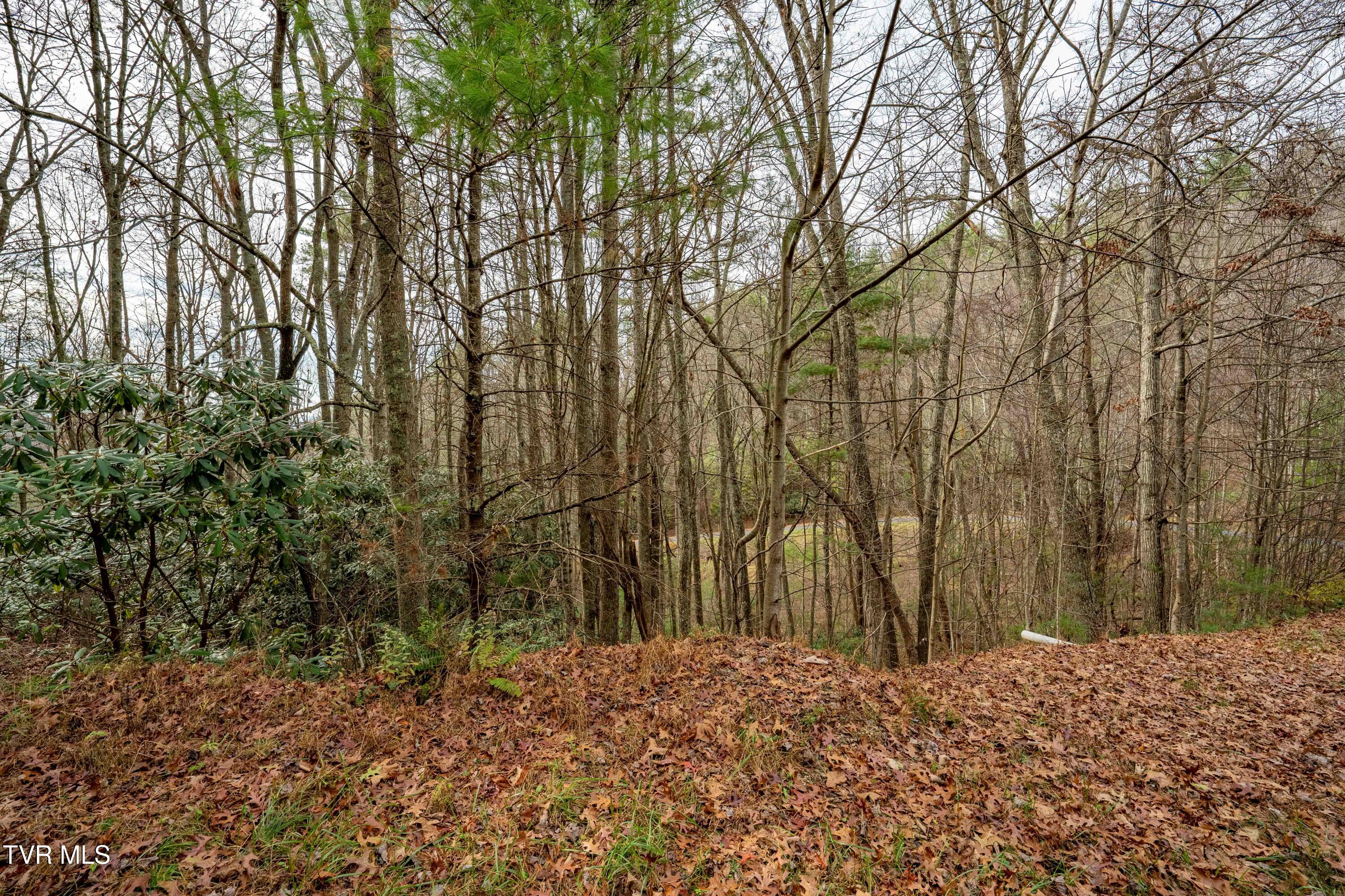 Tbd Callalantee Drive, Mountain City, Tennessee image 20