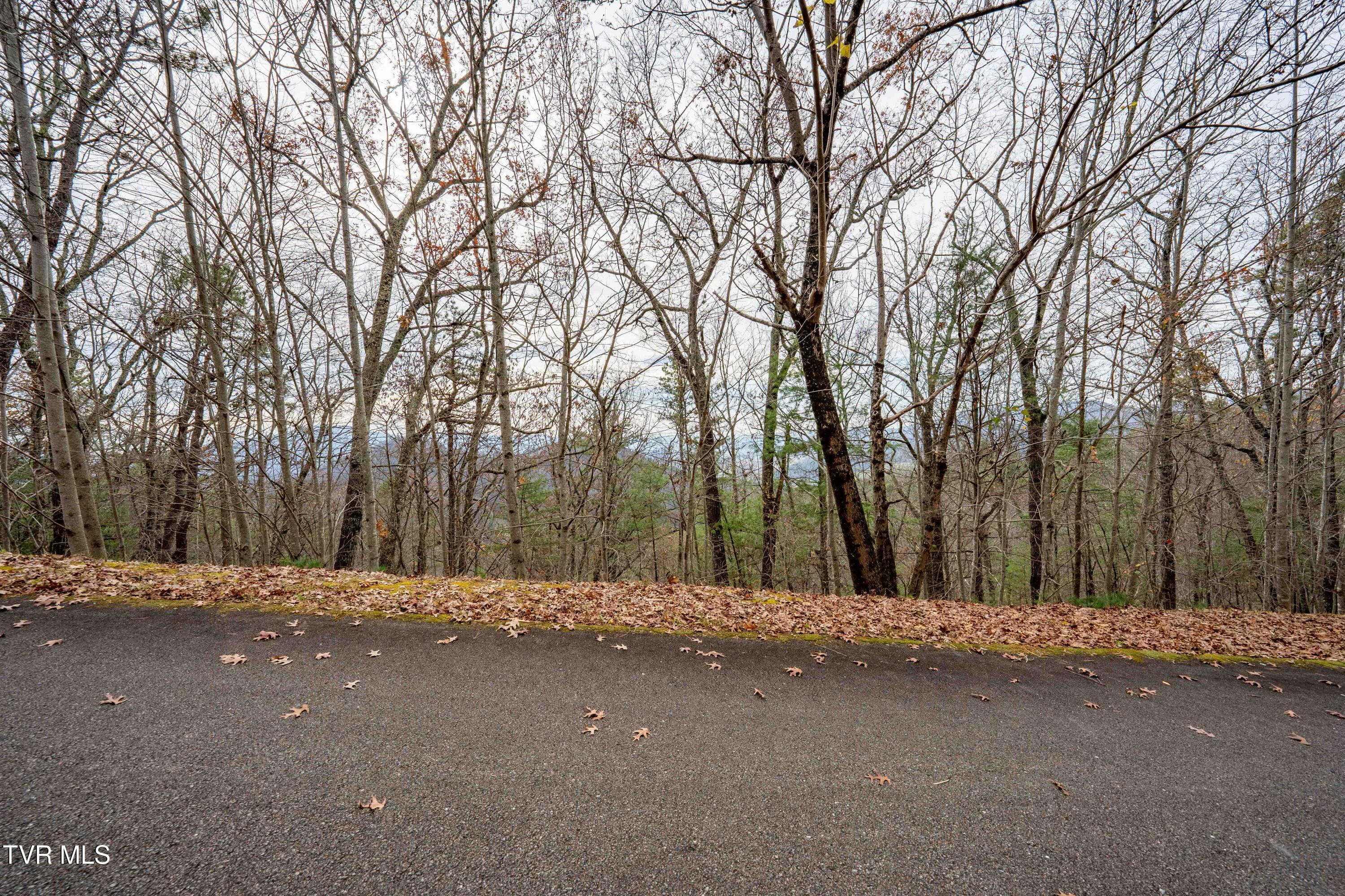 Tbd Callalantee Drive, Mountain City, Tennessee image 12
