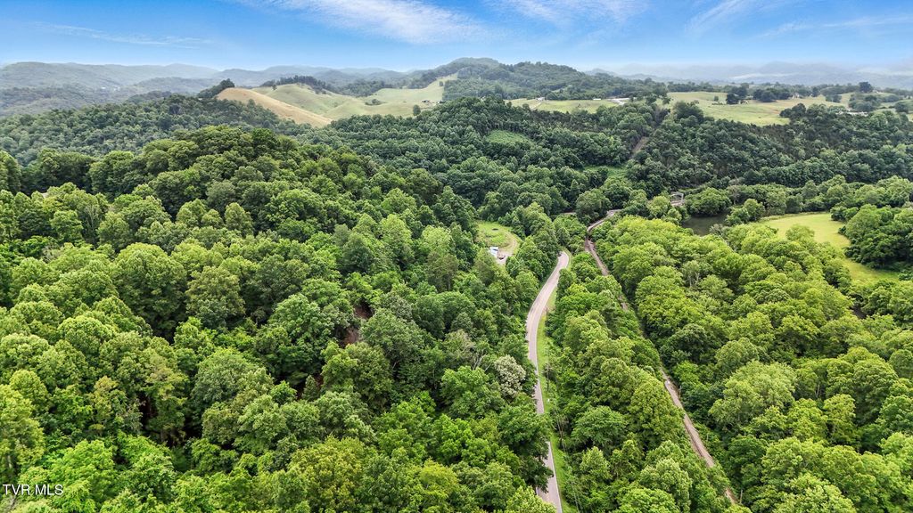 Photo of 16827 Wise Street, Saint Paul, VA 24283 (MLS # 9992109)