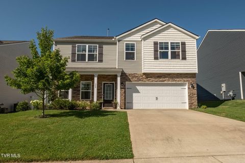 Photo of 464 Brinkleys Way, Johnson City, TN 37615 (MLS # 9997737)