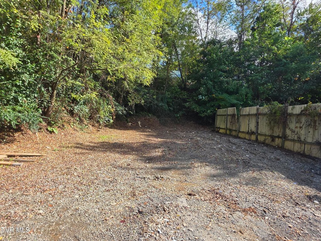 Photo of 1290 Main Street, Abingdon, VA 24210 (MLS # 9987036)