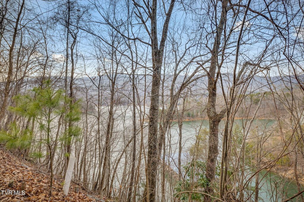 Photo of Tbd Bluestone Drive, Butler, TN 37640 (MLS # 9991983)