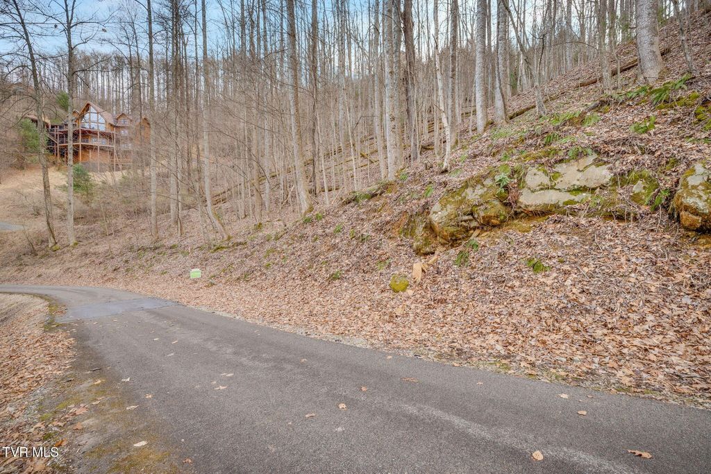Photo of Tbd Bluestone Drive, Butler, TN 37640 (MLS # 9991983)