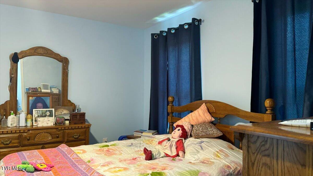 312 Kaywood Avenue, Mount Carmel, Tennessee image 38