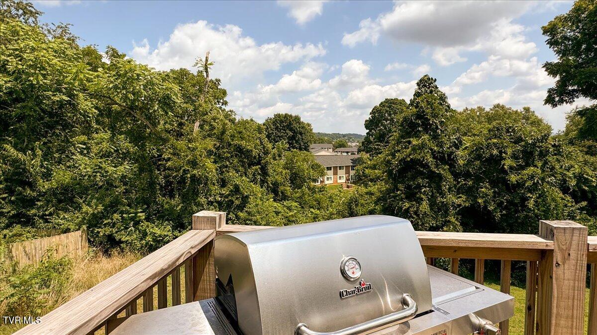 312 Kaywood Avenue, Mount Carmel, Tennessee image 20