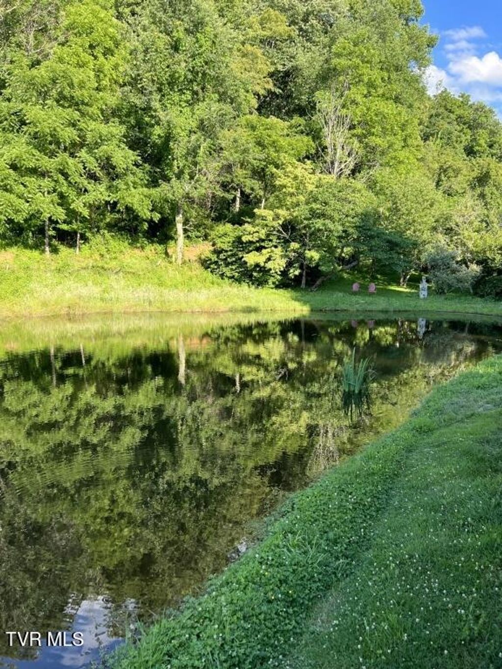 Photo of 451 Heaton Creek Road, Roan Mountain, TN 37687 (MLS # 9993808)