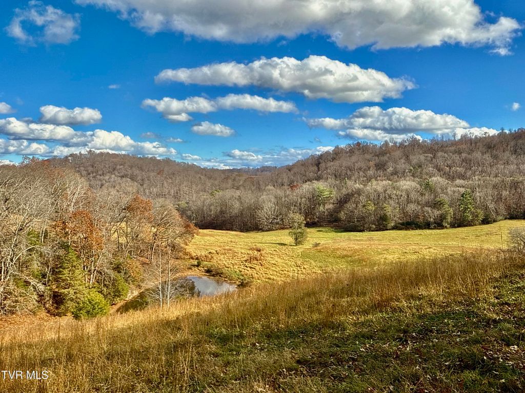 Photo of 1520 Brittontown Road, Afton, TN 37616 (MLS # 9988957)