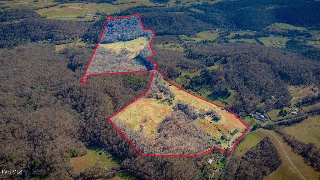 Photo of 1520 Brittontown Road, Afton, TN 37616 (MLS # 9988957)