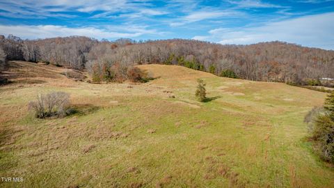 Vacant Land For Sale - 1520 Brittontown Road<br/> Afton, TN 37616