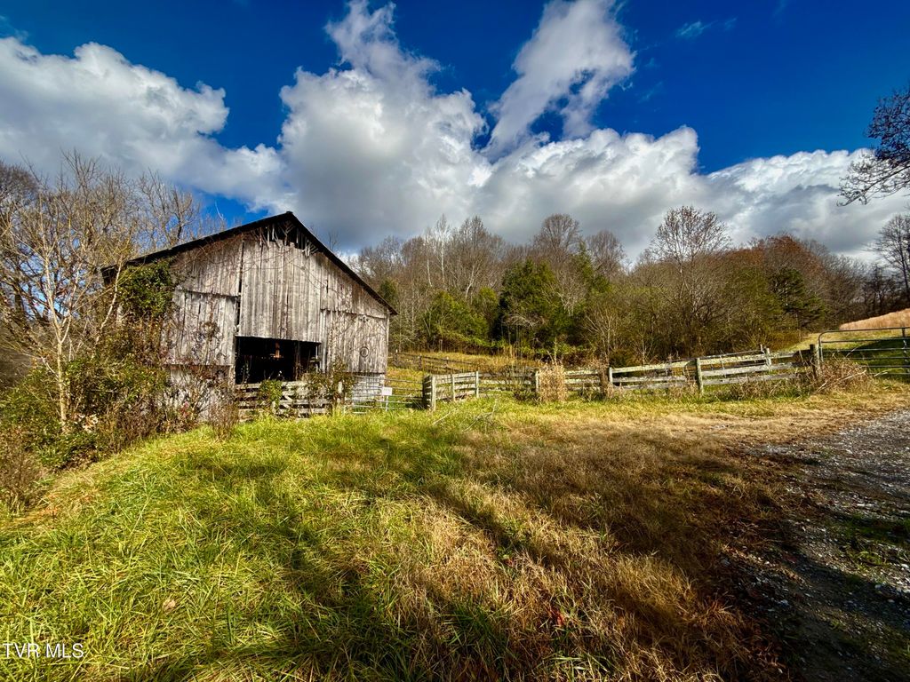 Photo of 1520 Brittontown Road, Afton, TN 37616 (MLS # 9988957)