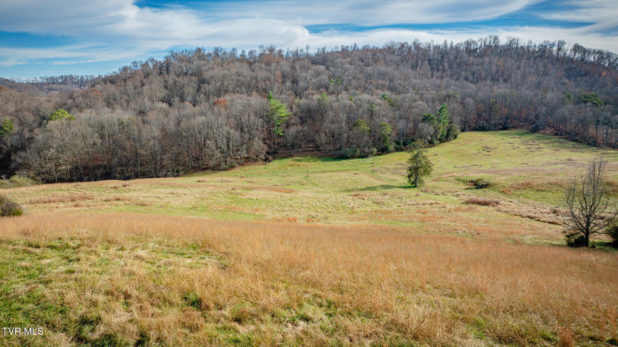 1520 Brittontown Road