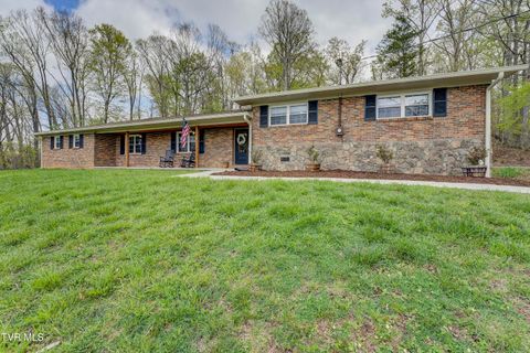 368 New Hope Road Jonesborough TN 37659