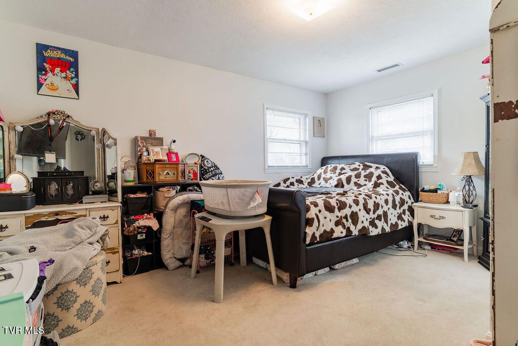 Photo of 574 Matson Road, Jonesborough, TN 37659 (MLS # 9989990)