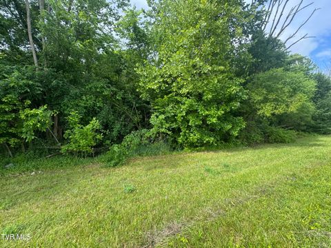 Vacant Land For Sale - TBD Highway 11 Lot 24 St<br/> Kingsport, TN 37660