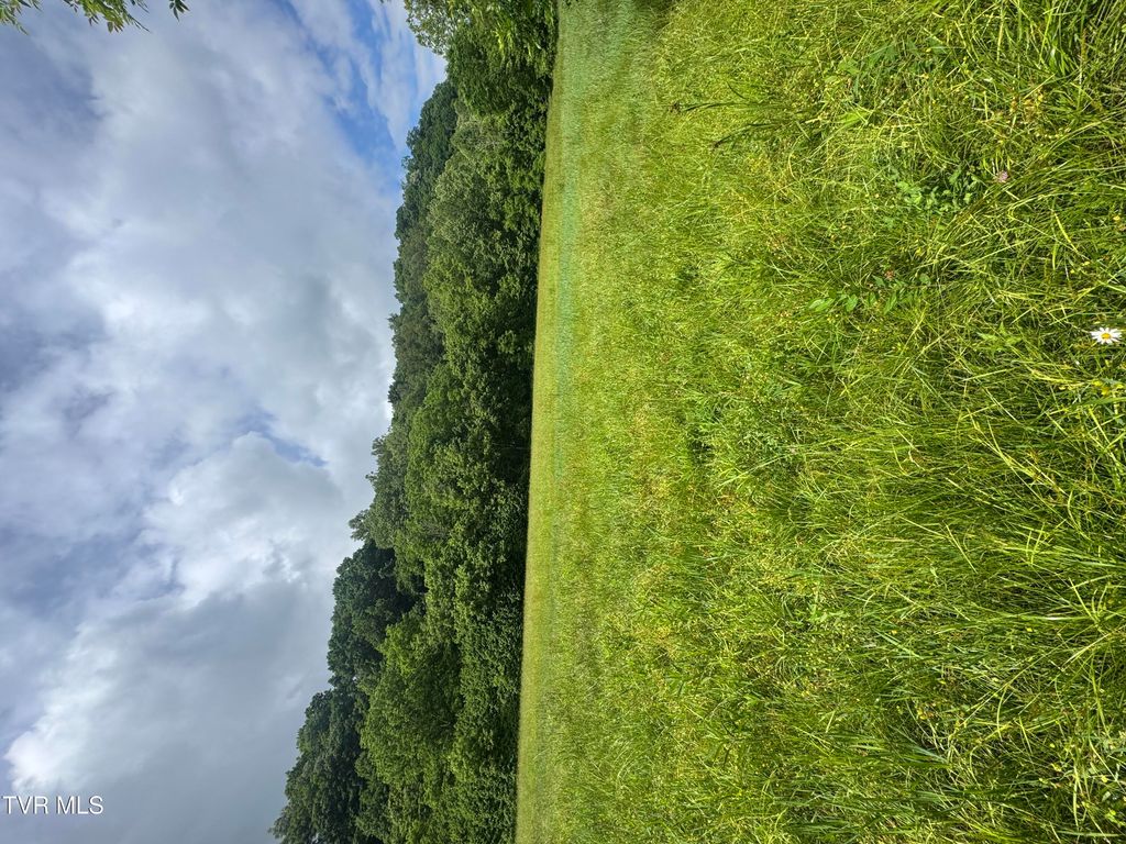Photo of Tbd Highway 11 Lot 24 ST, Kingsport, TN 37660 (MLS # 9995981)