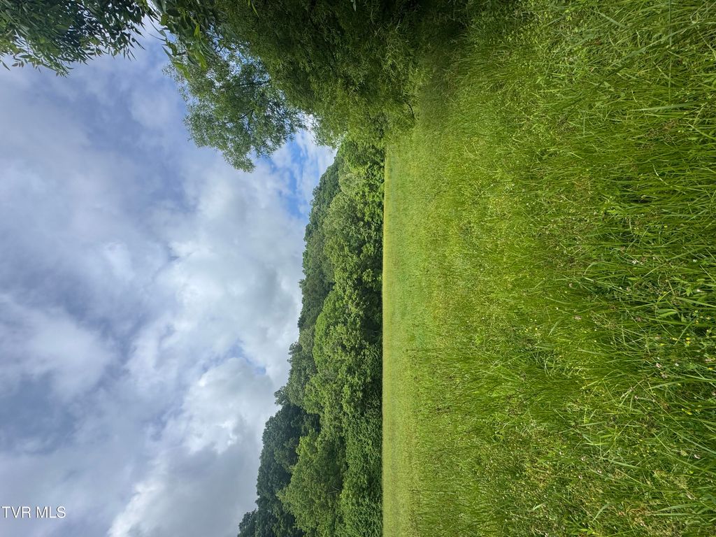 Photo of Tbd Highway 11 Lot 24 ST, Kingsport, TN 37660 (MLS # 9995981)