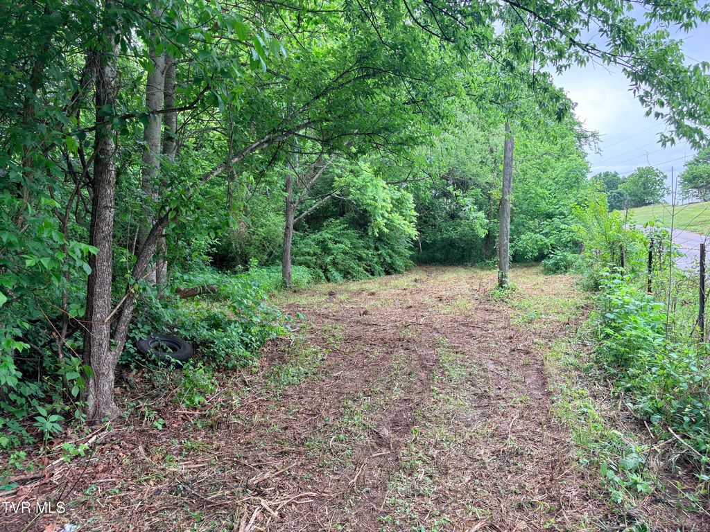 Photo of 00 Shackleford Road, Mosheim, TN 37818 (MLS # 9995779)
