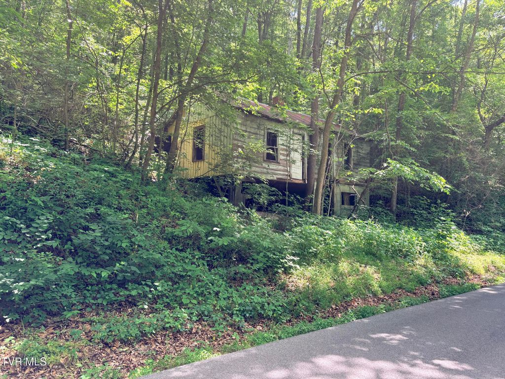 Photo of 00 Shackleford Road, Mosheim, TN 37818 (MLS # 9995779)