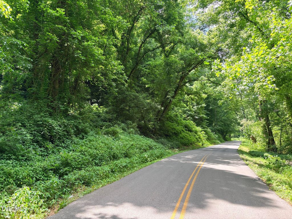 Photo of 00 Shackleford Road, Mosheim, TN 37818 (MLS # 9995779)