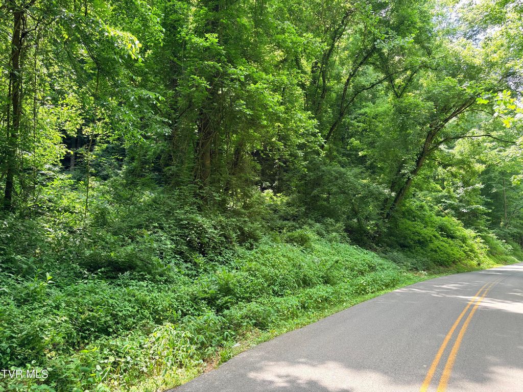 Photo of 00 Shackleford Road, Mosheim, TN 37818 (MLS # 9995779)