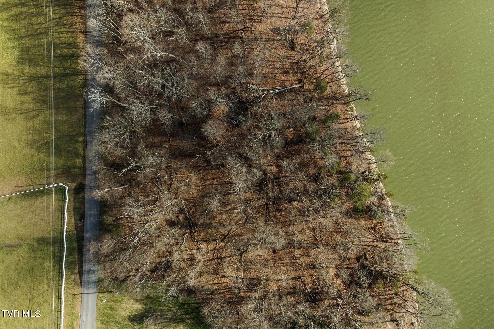 Tbd Lake Point Drive, Piney Flats, Tennessee image 7