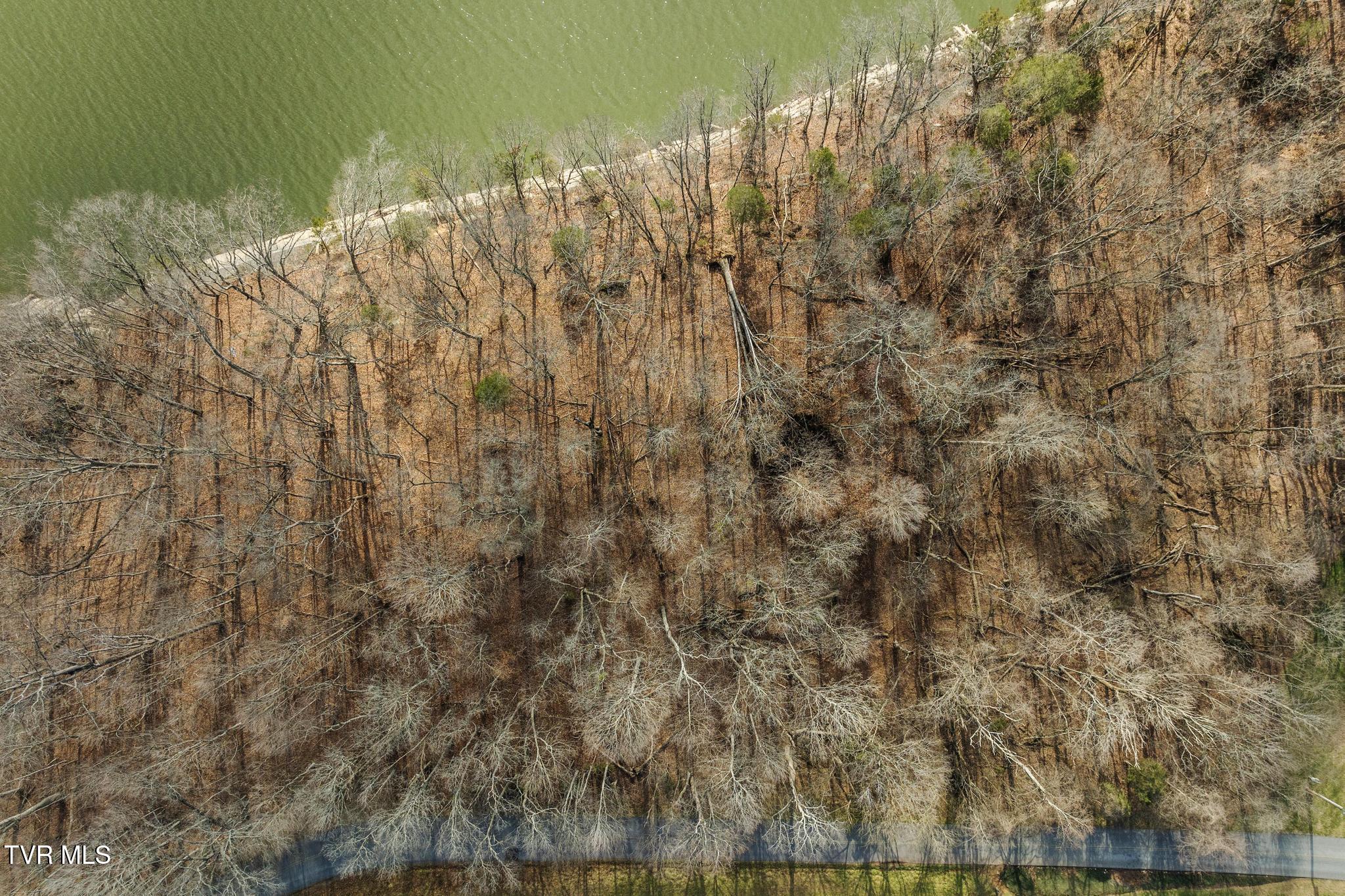 Tbd Lake Point Drive, Piney Flats, Tennessee image 8