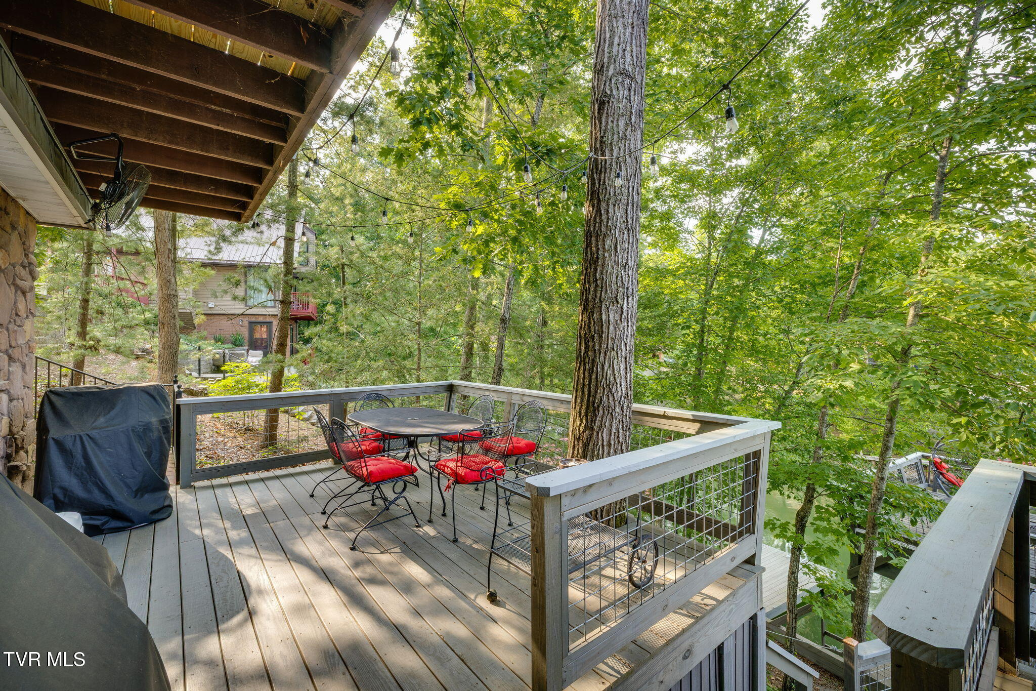142 Lake Haven Drive, Johnson City, Tennessee image 29