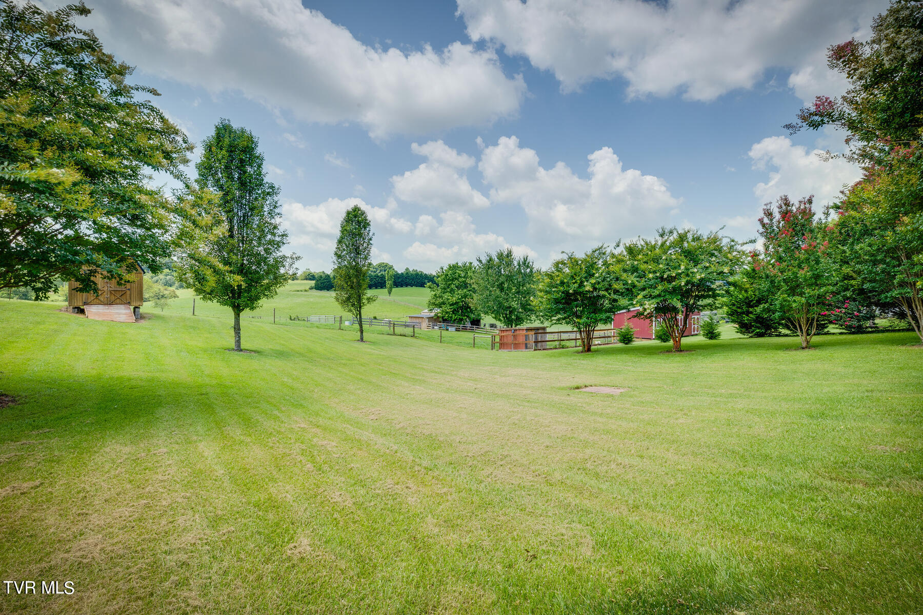 186 Kincheloe Road, Fall Branch, Tennessee image 24