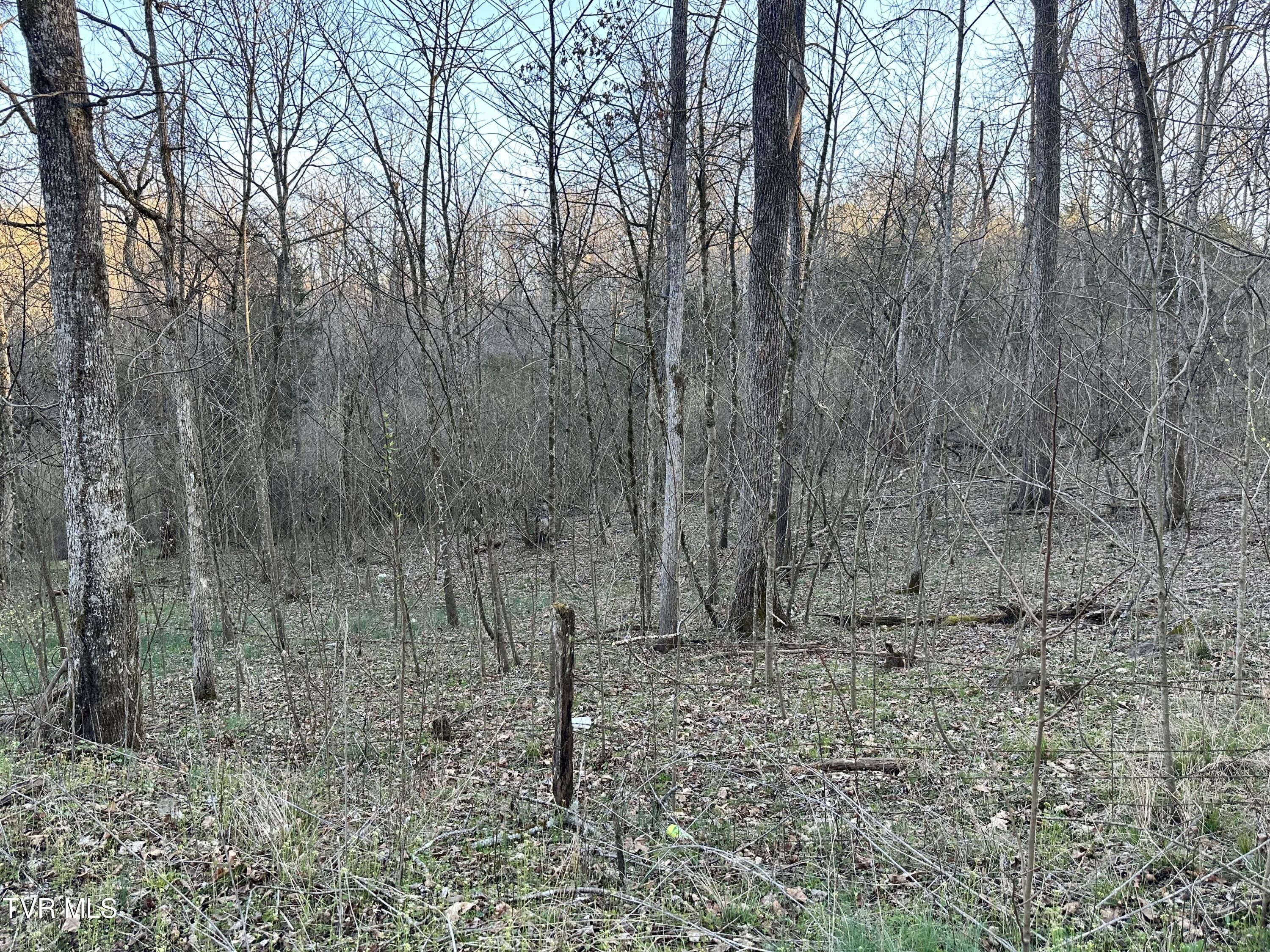 Tbd Cassells Chapel Road, Dungannon, Virginia image 9