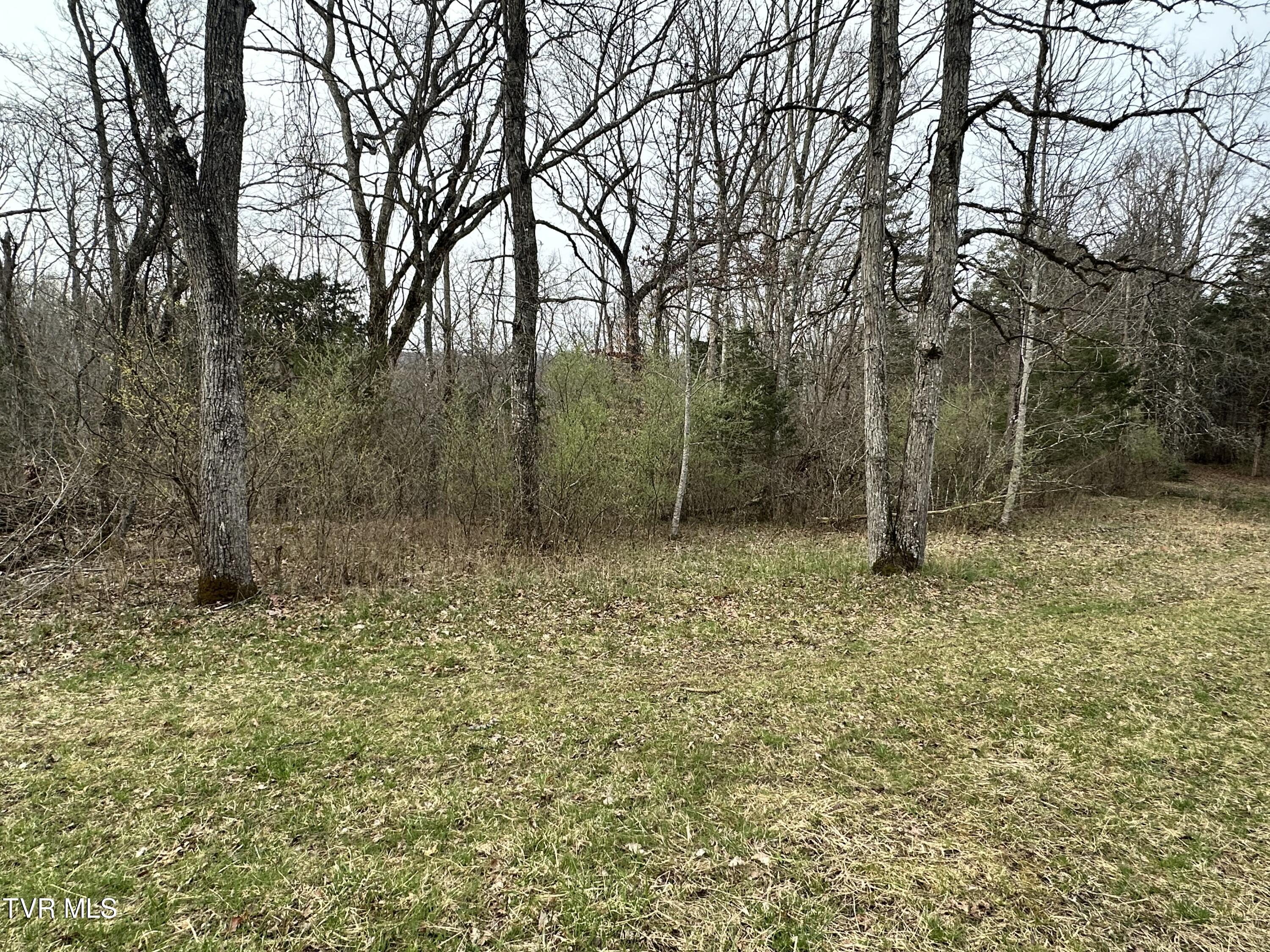 Tbd Cassells Chapel Road, Dungannon, Virginia image 3