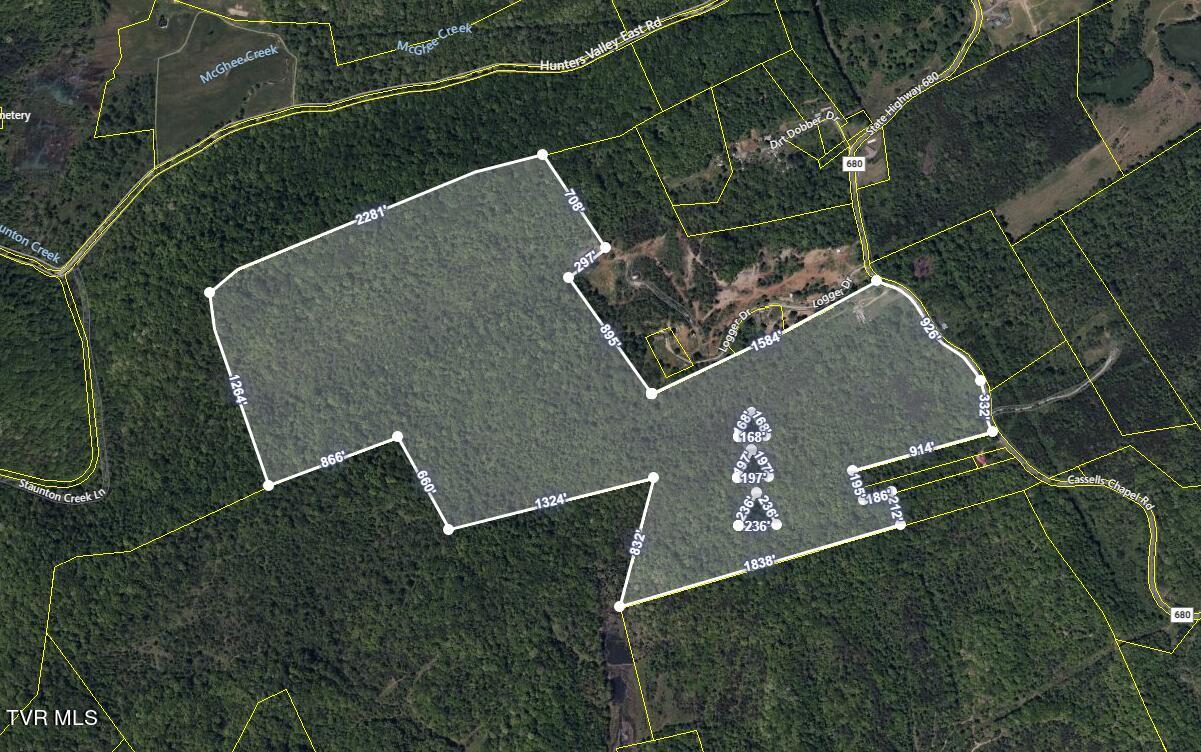 Tbd Cassells Chapel Road, Dungannon, Virginia image 4