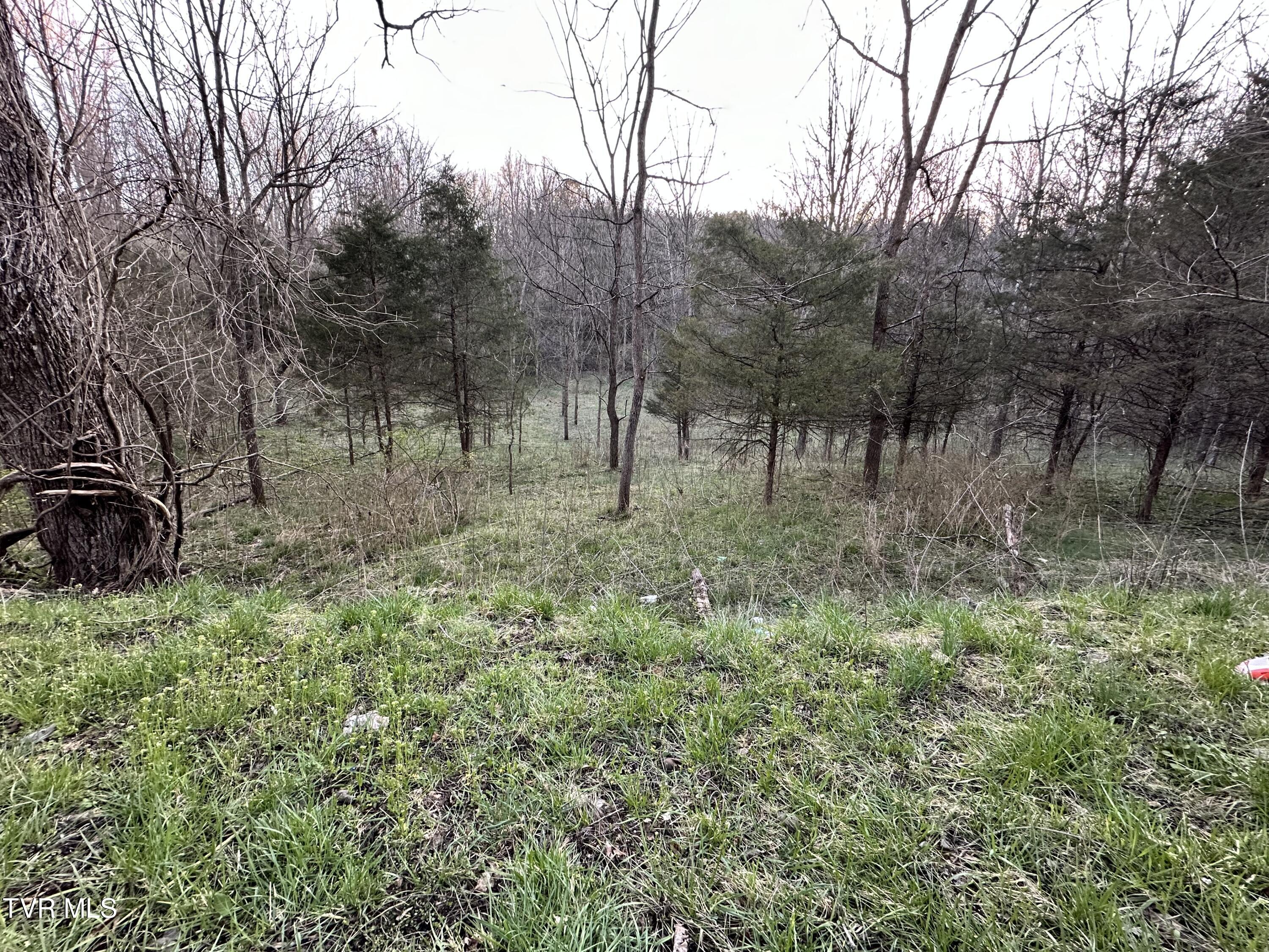 Tbd Cassells Chapel Road, Dungannon, Virginia image 13