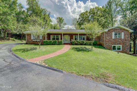 103 Dogwood Lane Johnson City TN 37604