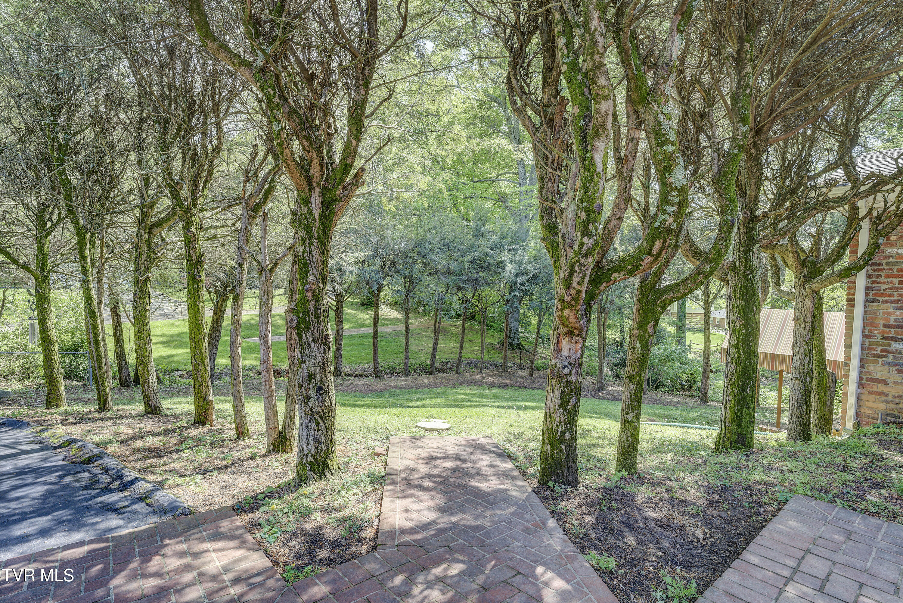 103 Dogwood Lane, Johnson City, Tennessee image 8