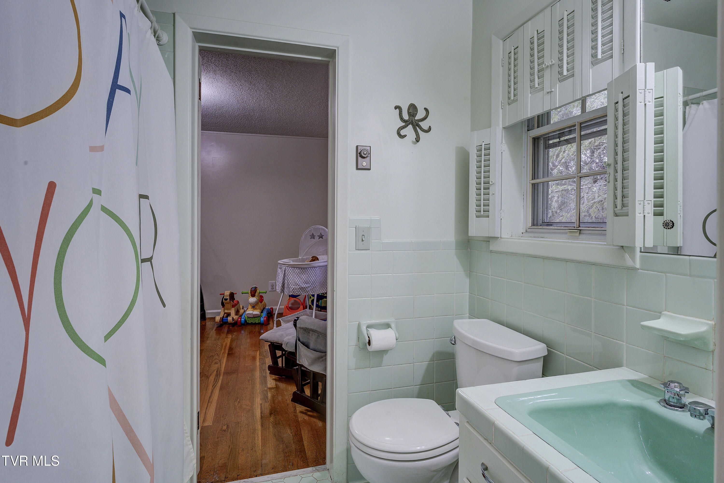 103 Dogwood Lane, Johnson City, Tennessee image 31
