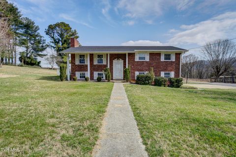 Photo of 145 Keystone Drive, Blountville, TN 37617 (MLS # 9995611)