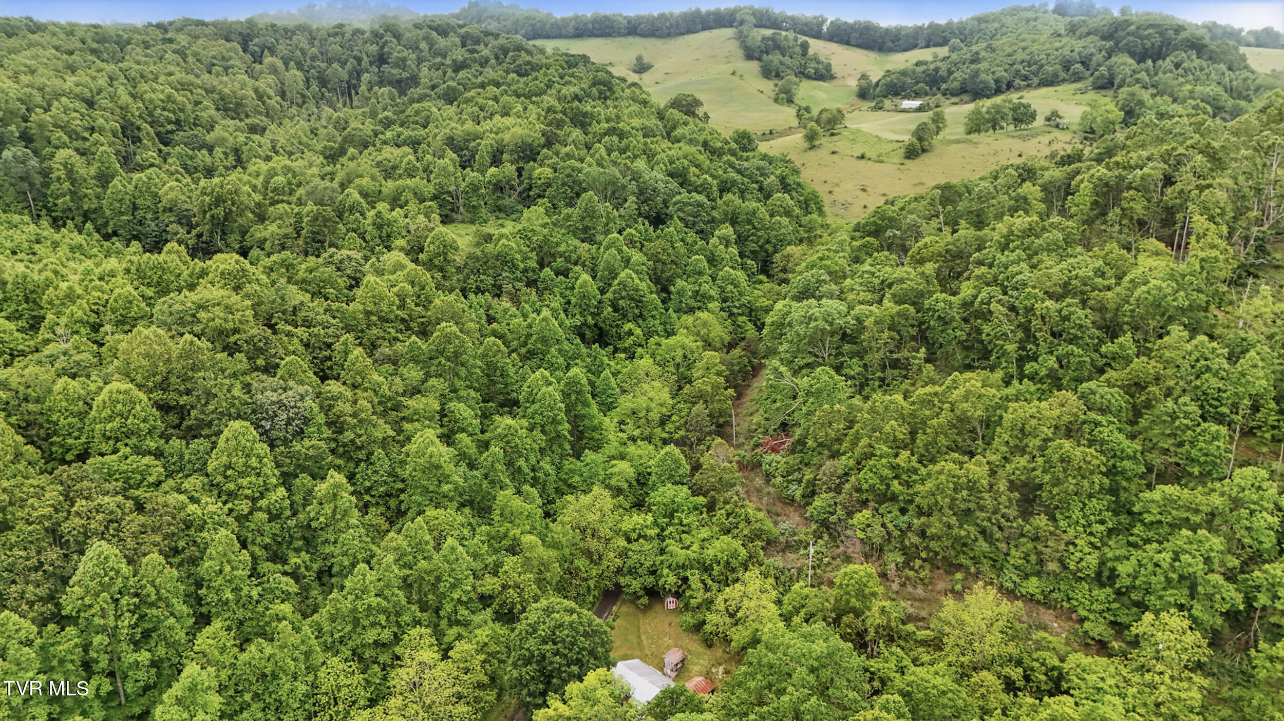 1002 Seven Springs Hollow Road, Castlewood, Virginia image 32