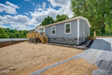 Photo of 115 Hillside Drive, Johnson City, TN 37601 (MLS # 9995437)